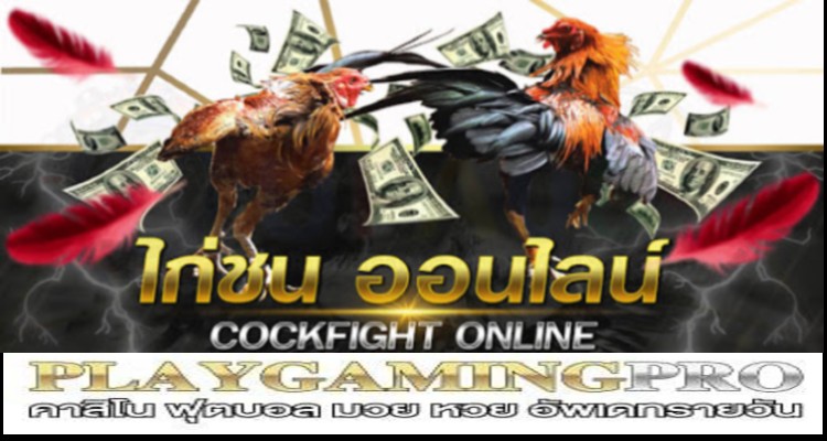 ไก่ชนออนไลน์