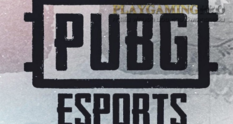 Pubg Esport