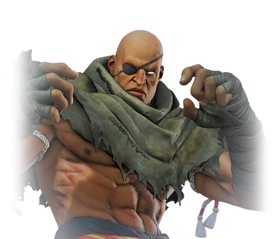 ตัวละครstreet fighter
