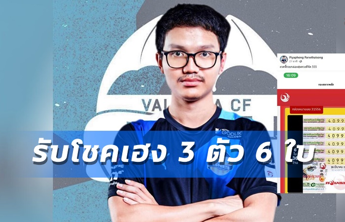Taoz 6ใบเน้นๆ