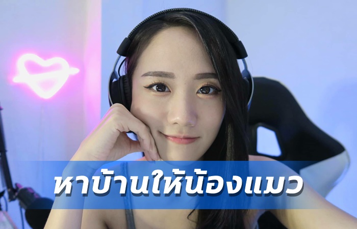 MewMew ใจบุญ