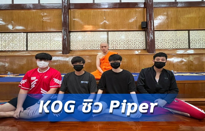 KOG ซิว Piper